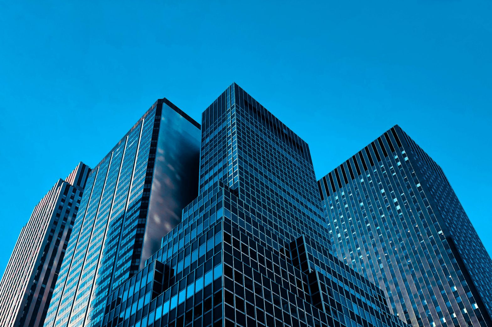 Professional liability MGA case study on DigitalEdge Policy and Claims